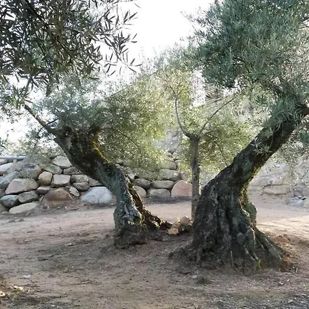 Vina Las Olivas Andújar Esterno foto