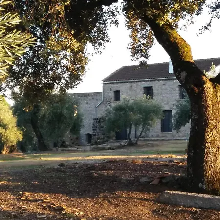 Vina Las Olivas Andújar Esterno foto